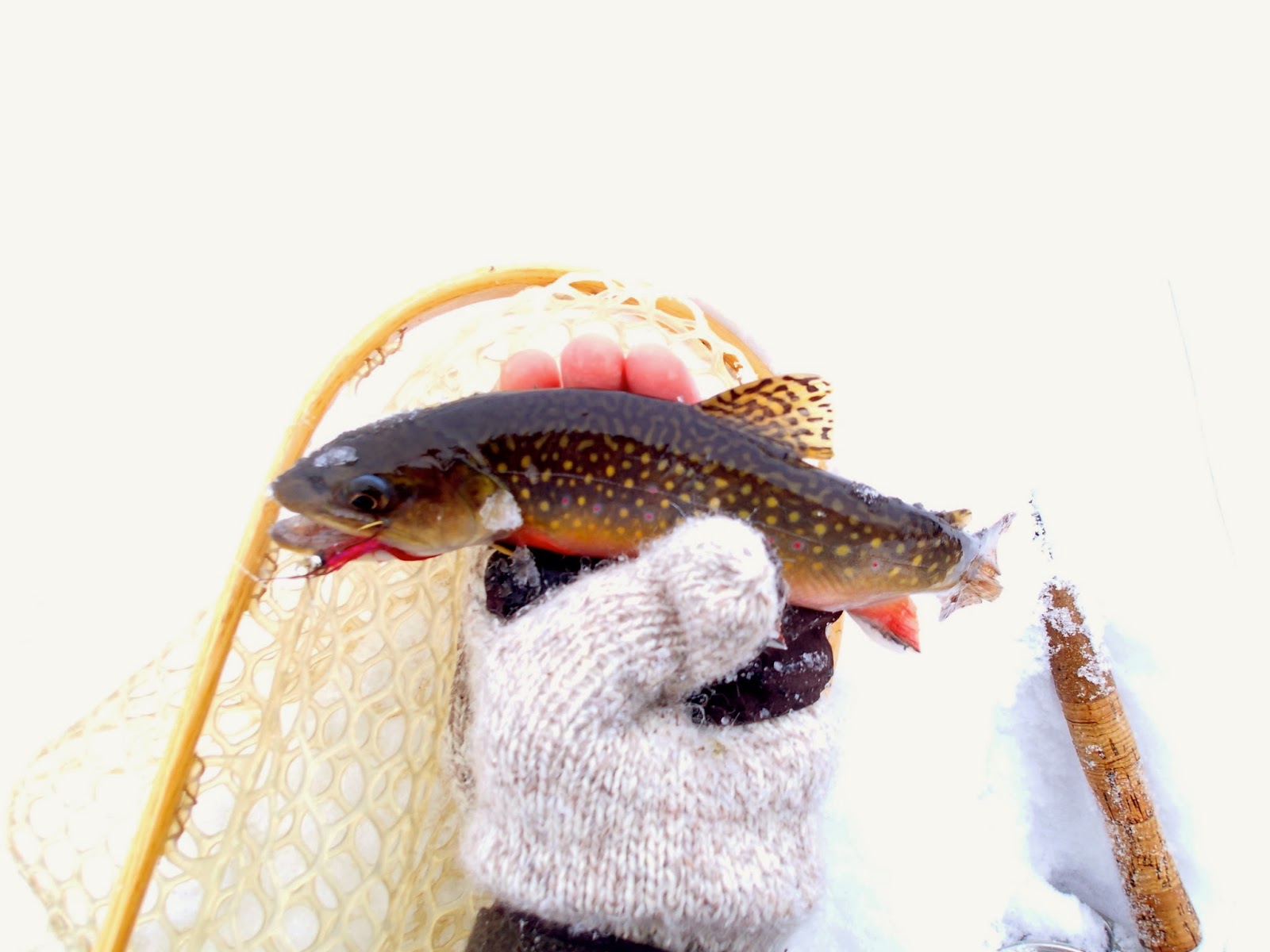5 Façons De Prolonger La Saison De Pêche