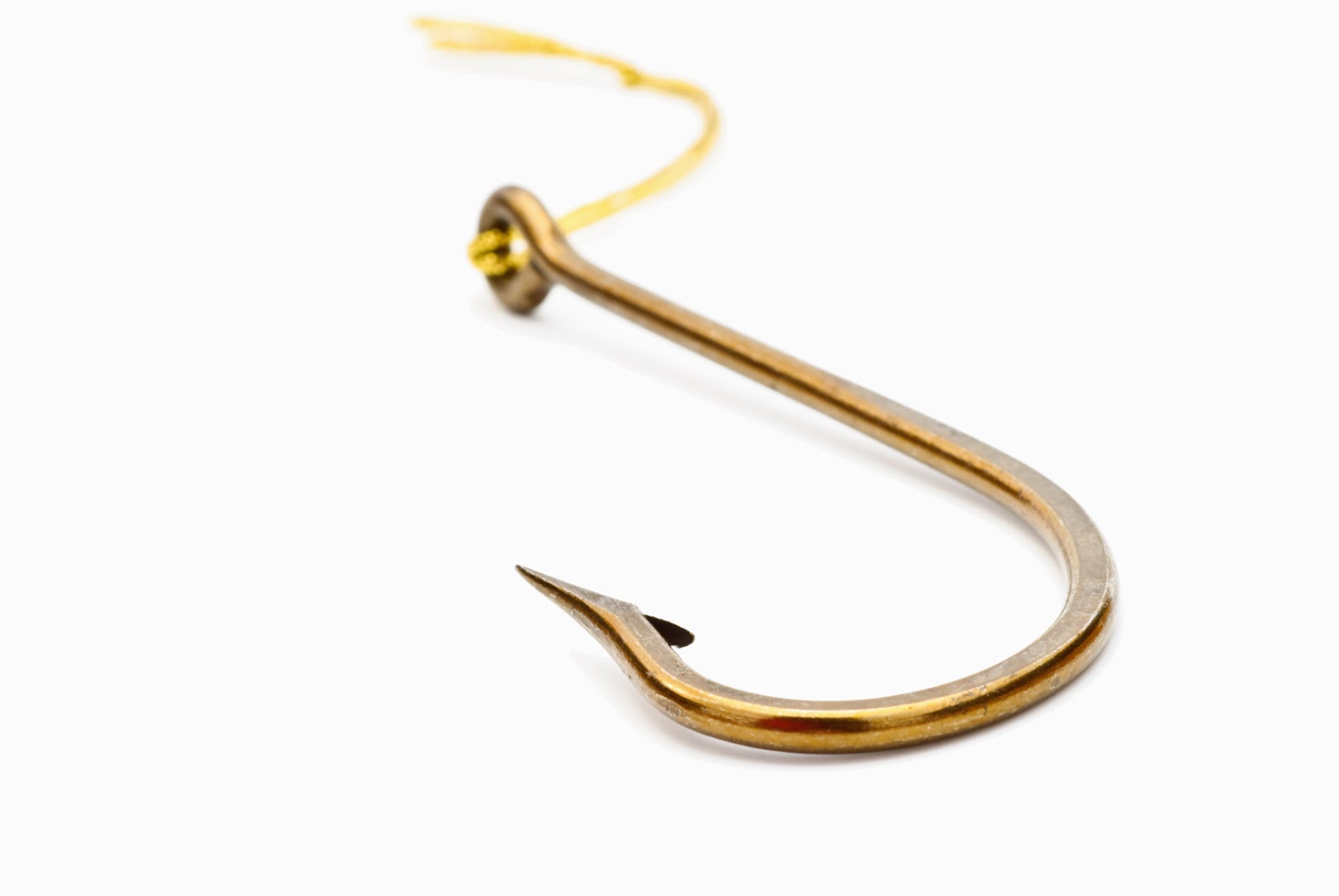 Nouvelle Saison De Pêche – Nouvelles Eaux