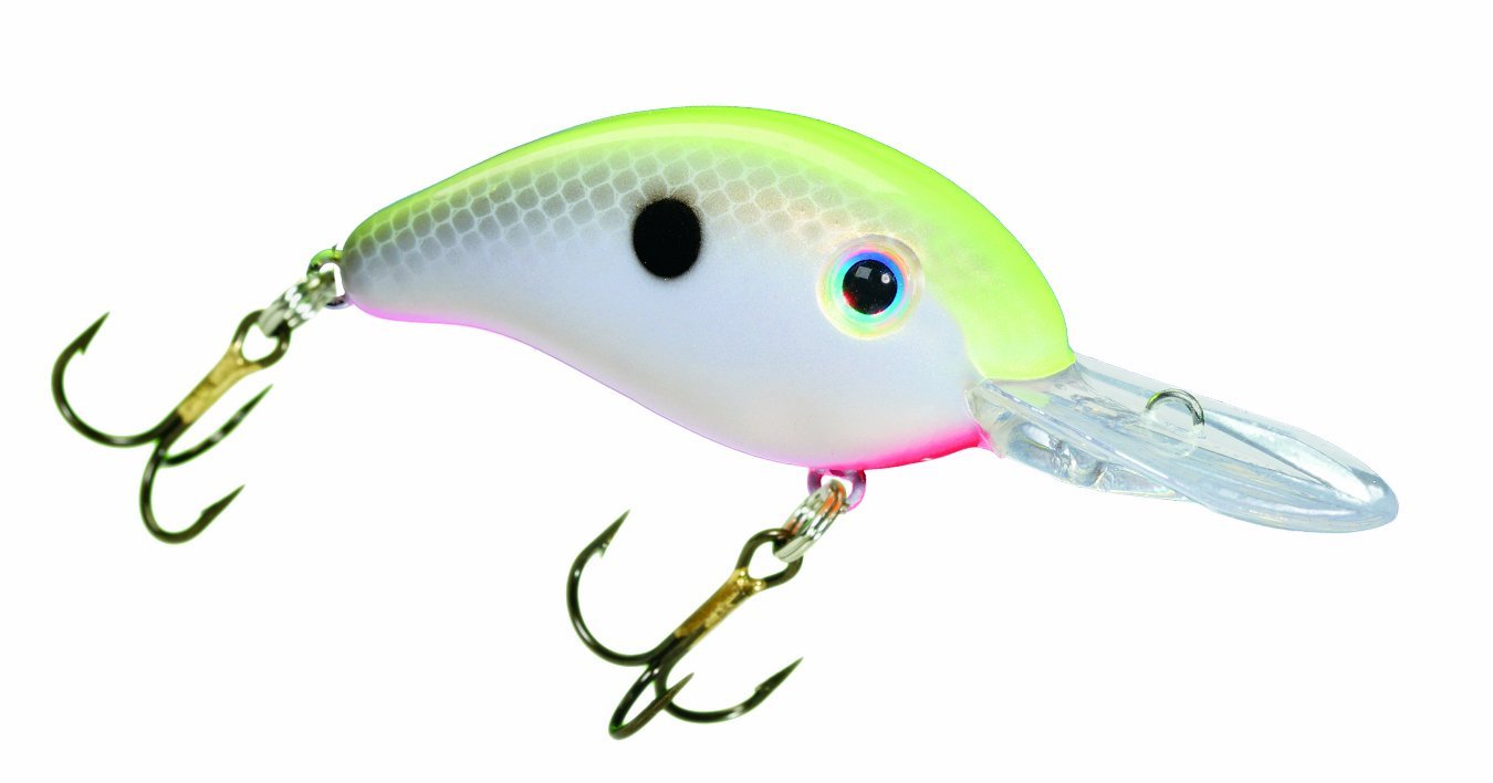 Conseils De Pêche