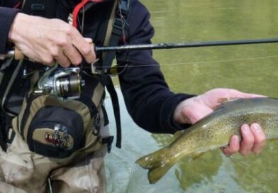 Produits pas chers : canne a peche carbone Avis et Prix dans la région de Frontignan  Magasin de pêche en ligne !