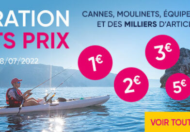 Promo : peche a la ligne Avis et Prix autour de Bouguenais :  Articles de pêche
