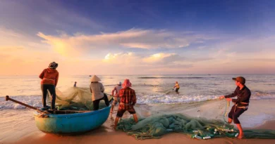 Quelles sont les 3 techniques de pêche qui marchent le plus