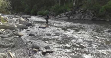 Mais qu'est-ce que la peche tandem seche nymphe